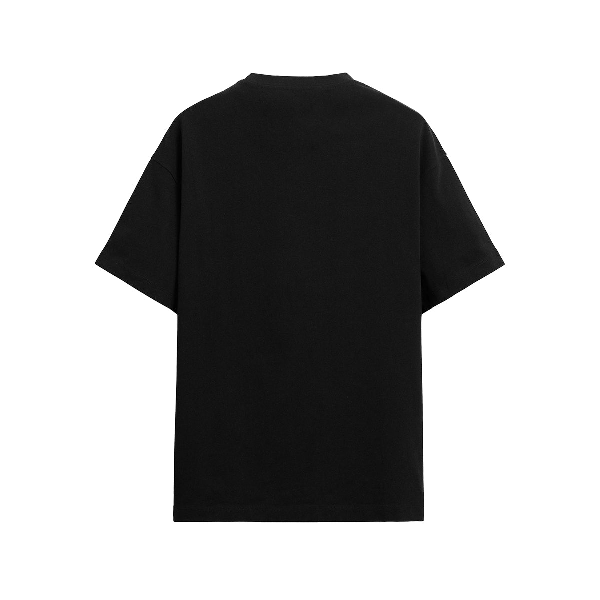 Pakistan Cultural Spirit Tee – 14th August Limited Edition Unisex Relaxed Fit T-shirt
